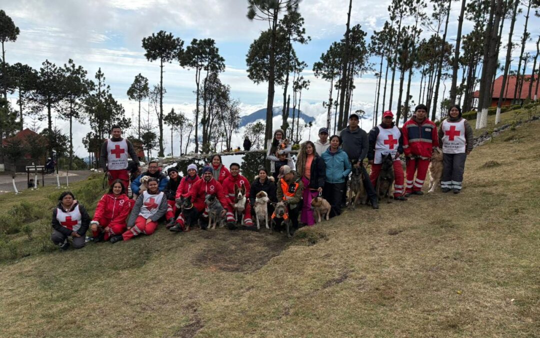 Equipo SAR K9 realiza cierre de actividades con práctica de altura