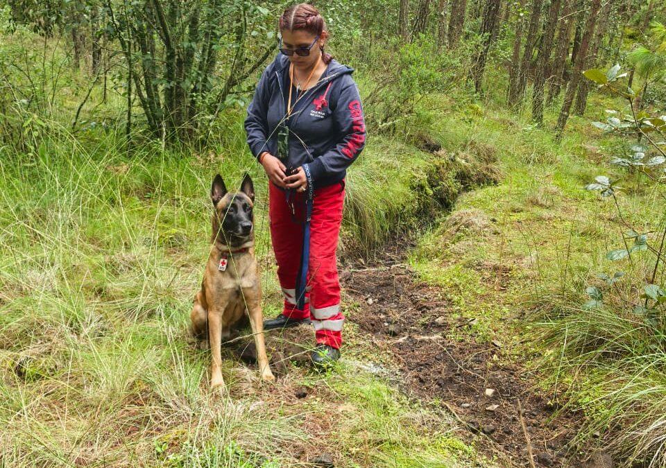 Conoce a Astro perro de búsqueda y rescate de nuestro equipo SAR-K9
