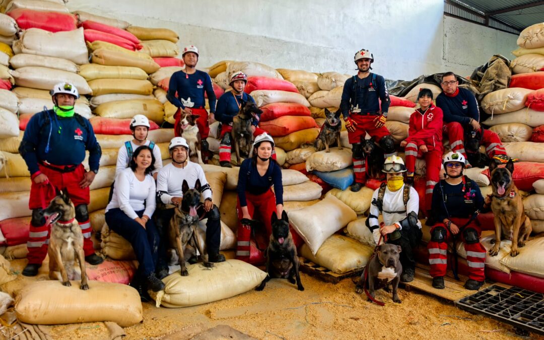 Nuestro equipo de SAR-K9 se reúne para realizar prácticas