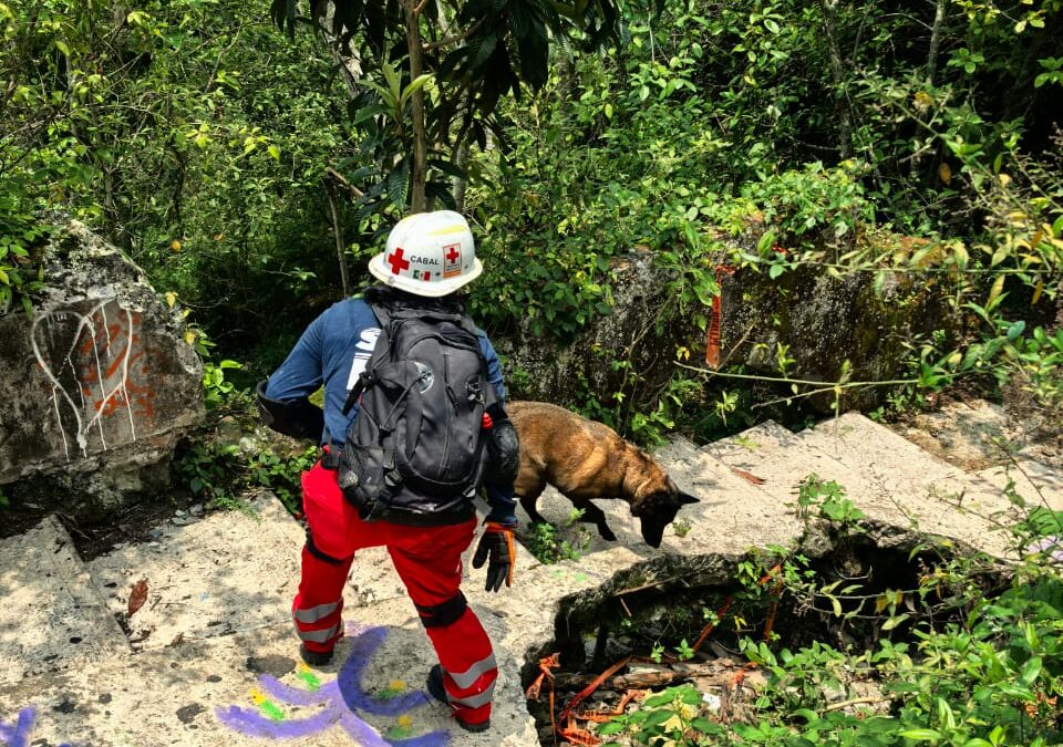 Práctica Estatal del equipo SAR K9 Veracruz